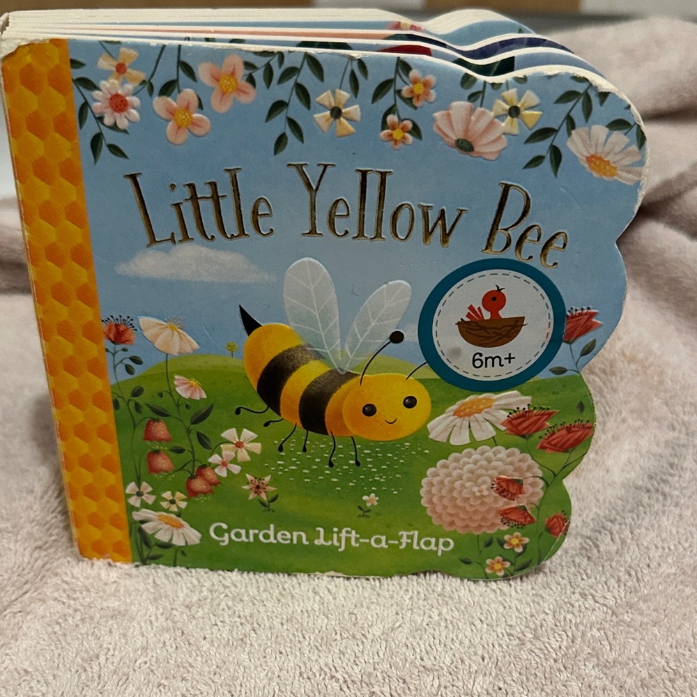 Little Yellow Bee Garden Adventure Book